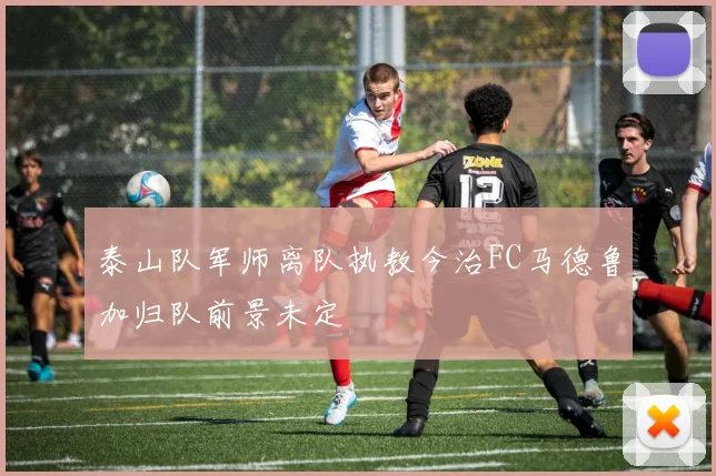 泰山队军师离队执教今治FC马德鲁加归队前景未定