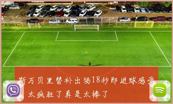 斯万贝里替补出场18秒即进球感受：太疯狂了真是太棒了