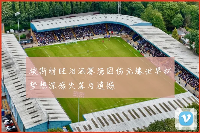 埃斯特旺泪洒赛场因伤无缘世界杯梦想深感失落与遗憾